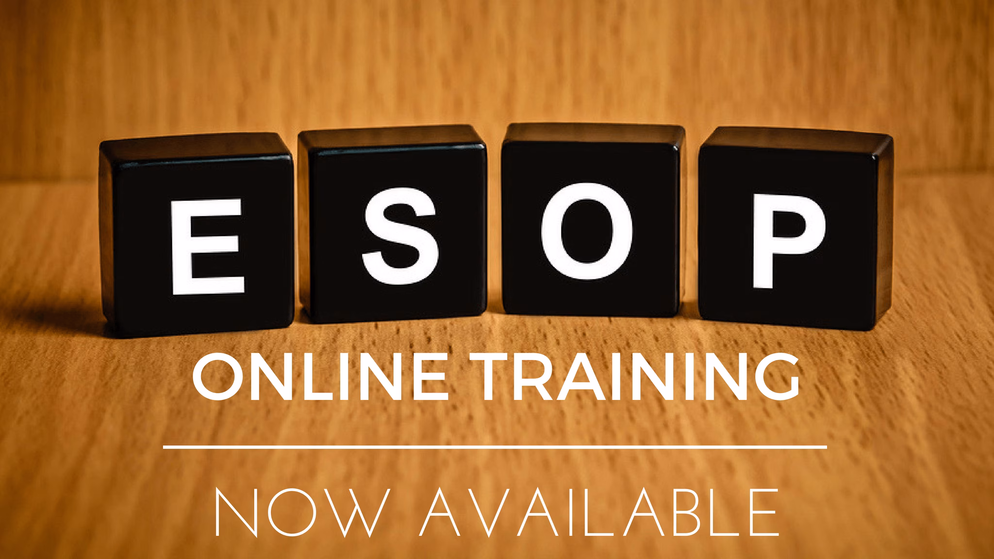 Employee Stock Option Plan – ESOP training course. 16+ things you didn’t know?