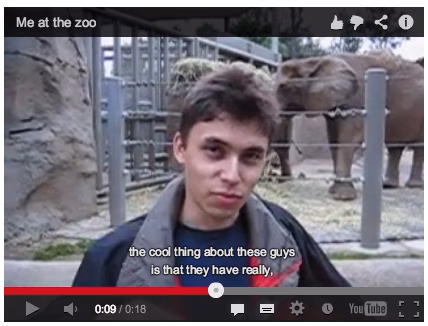 Image result for youtube first video
