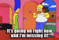 social media valuation fomo homer