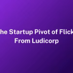 The Startup Pivot of Flickr From Ludicorp
