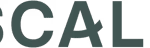 Scale ventures logo