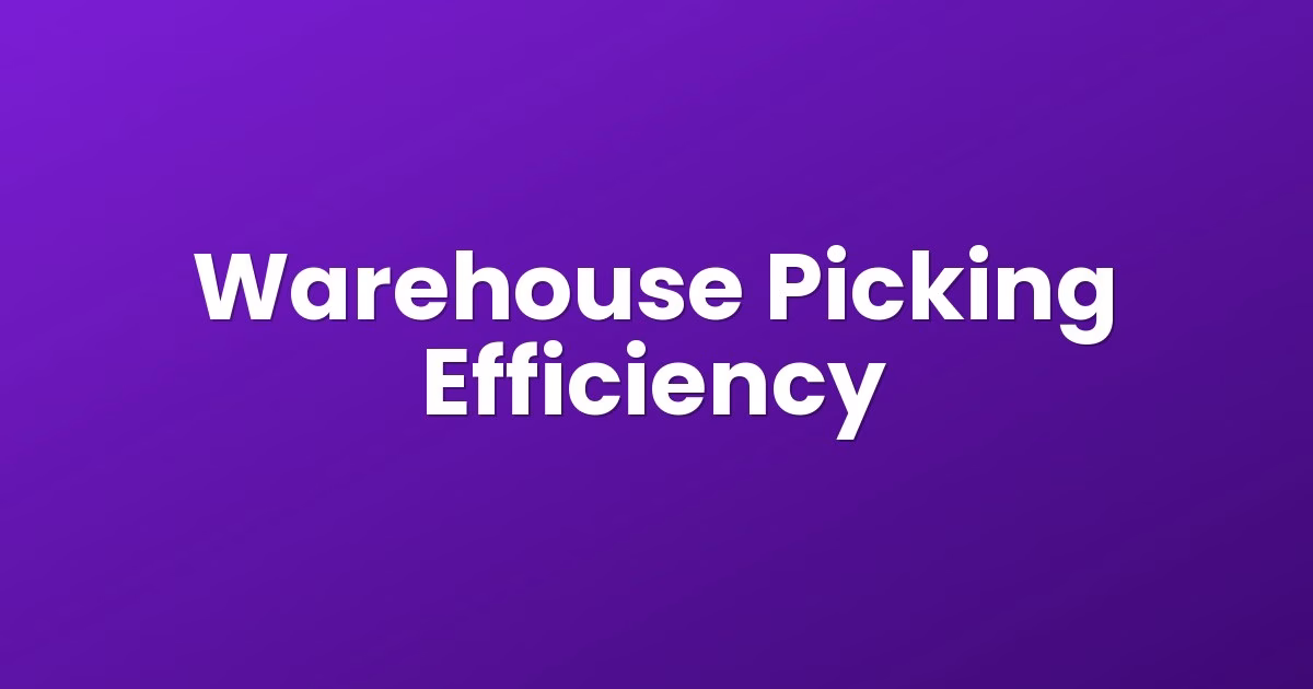 Warehouse Picking Efficiency