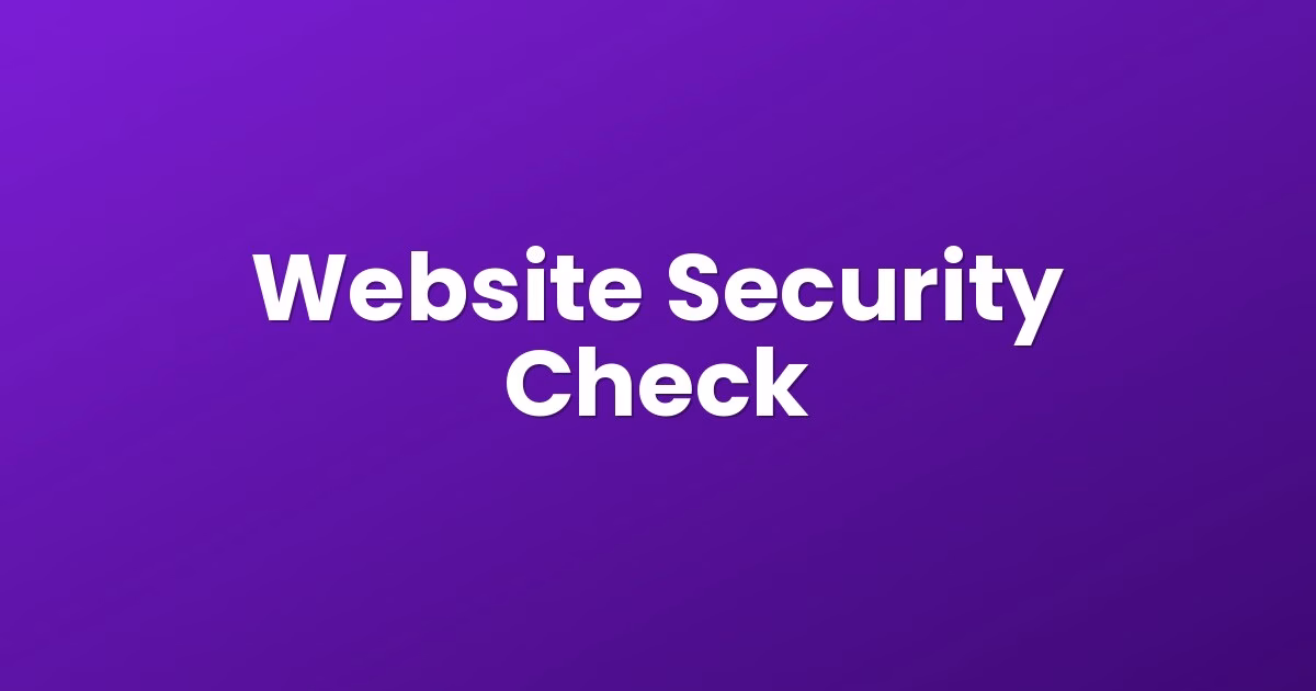 Website Security Check